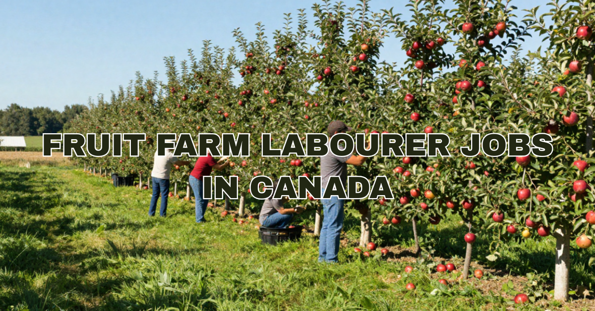 Fruit Farm Labourer Jobs in Canada